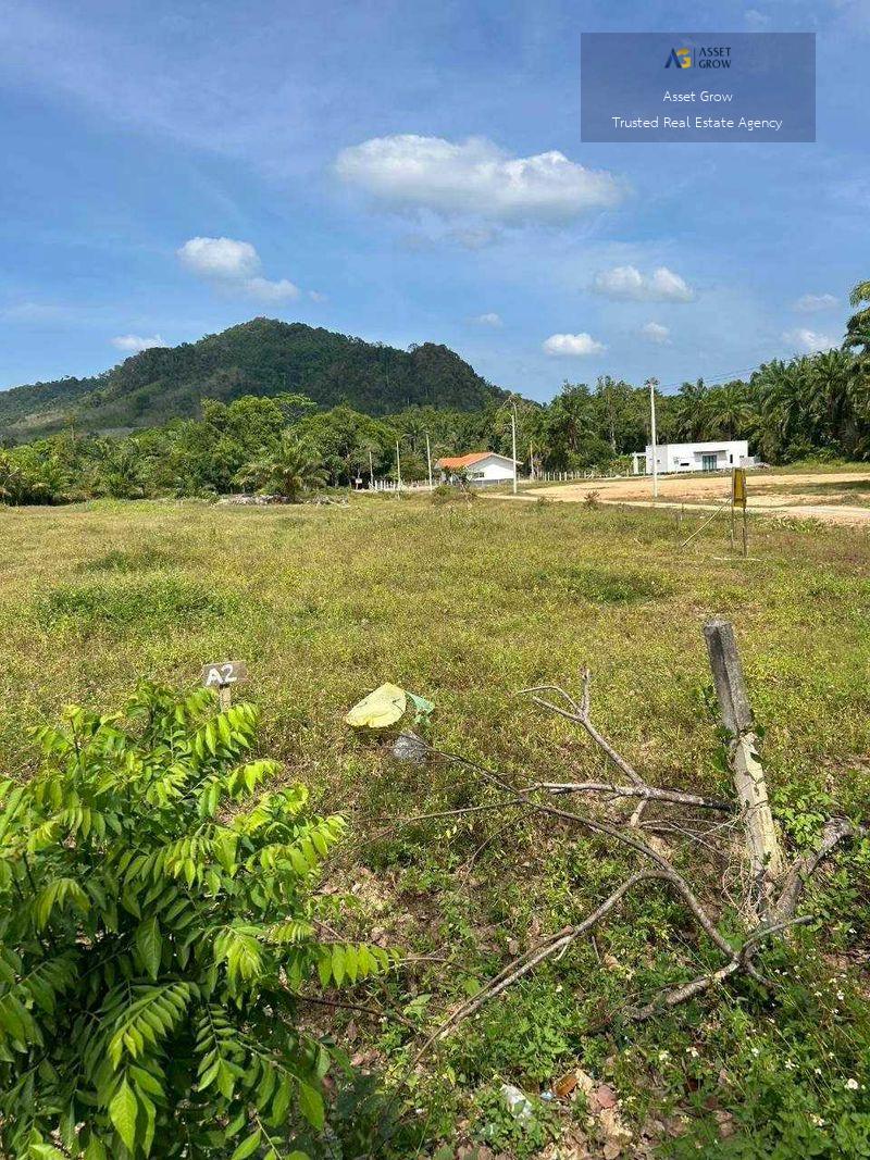 💥ขายที่ดินเปล่า บรรยากาศธรรมชาติเงียบสงบ หลังพิงเขาฮวงจุ้ยดี ตำบลหนองทะเล อำเภอเมือง,กระบี่ ขนาดที่ดิน 4-1-0 ไร่