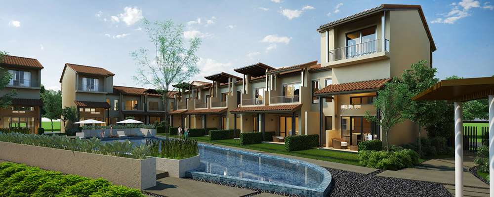 banner-project-details